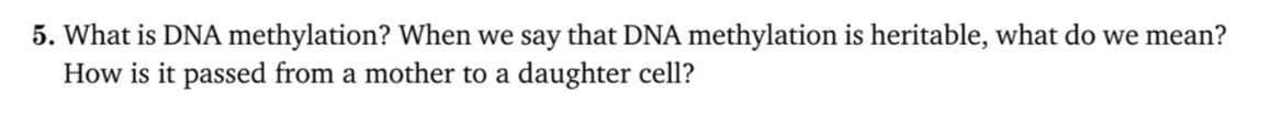 5. What is DNA methylation? When we say that DNA methylation is heritable, what do we mean?
How is it passed from a mother to a daughter cell?
