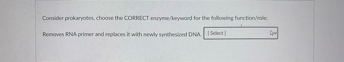 Consider prokaryotes, choose the CORRECT enzyme/keyword for the following function/role:
Removes RNA primer and replaces it with newly synthesized DNA. [ Select ]
