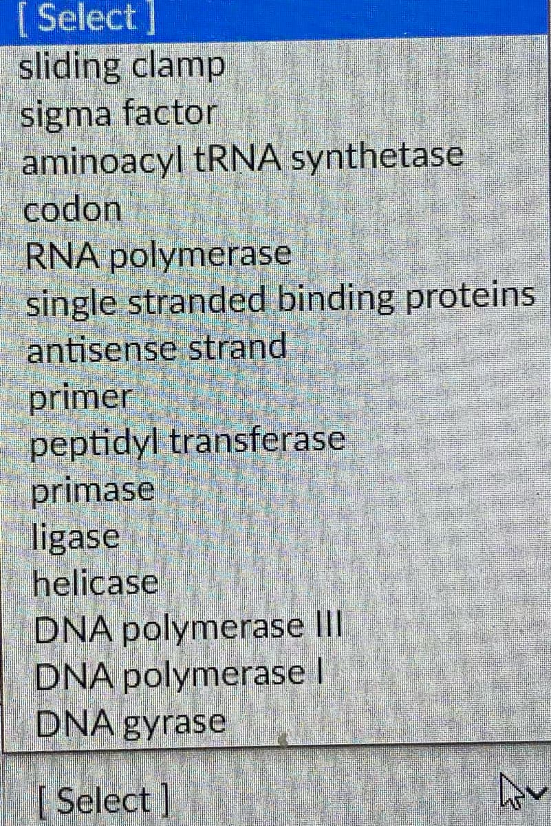[Select
sliding clamp
sigma factor
aminoacyl TRNA synthetase
codon
RNA polymerase
single stranded binding proteins
antisense strand,
primer
peptidyl transferase
primase
ligase
helicase
DNA polymerase III
DNA polymerase l
DNA gyrase
Select]
