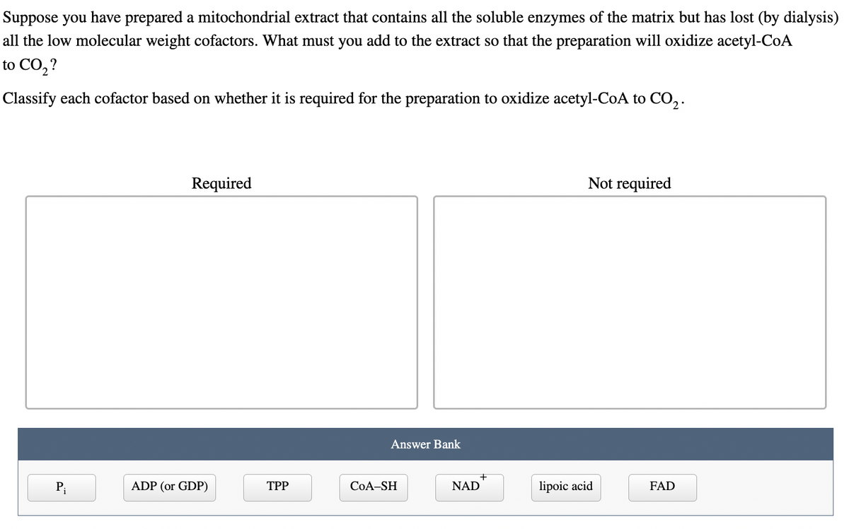 Suppose you have prepared a mitochondrial extract that contains all the soluble enzymes of the matrix but has lost (by dialysis)
all the low molecular weight cofactors. What must you add to the extract so that the preparation will oxidize acetyl-CoA
to CO₂?
Classify each cofactor based on whether it is required for the preparation to oxidize acetyl-CoA to CO₂.
P₁
Required
ADP (or GDP)
TPP
Answer Bank
CoA-SH
NAD
Not required
lipoic acid
FAD