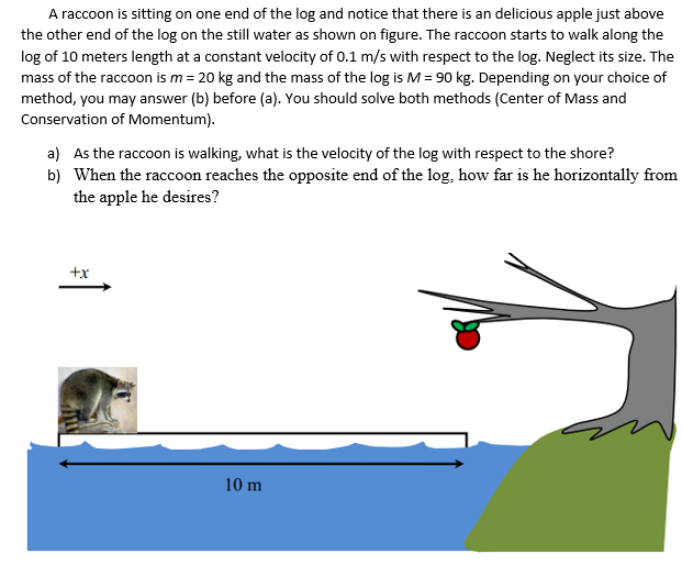 A raccoon is sitting on one end of the log and notice that there is an delicious apple just above
the other end of the log on the still water as shown on figure. The raccoon starts to walk along the
log of 10 meters length at a constant velocity of 0.1 m/s with respect to the log. Neglect its size. The
mass of the raccoon is m = 20 kg and the mass of the log is M = 90 kg. Depending on your choice of
method, you may answer (b) before (a). You should solve both methods (Center of Mass and
Conservation of Momentum).
a) As the raccoon is walking, what is the velocity of the log with respect to the shore?
b) When the raccoon reaches the opposite end of the log, how far is he horizontally from
the apple he desires?
