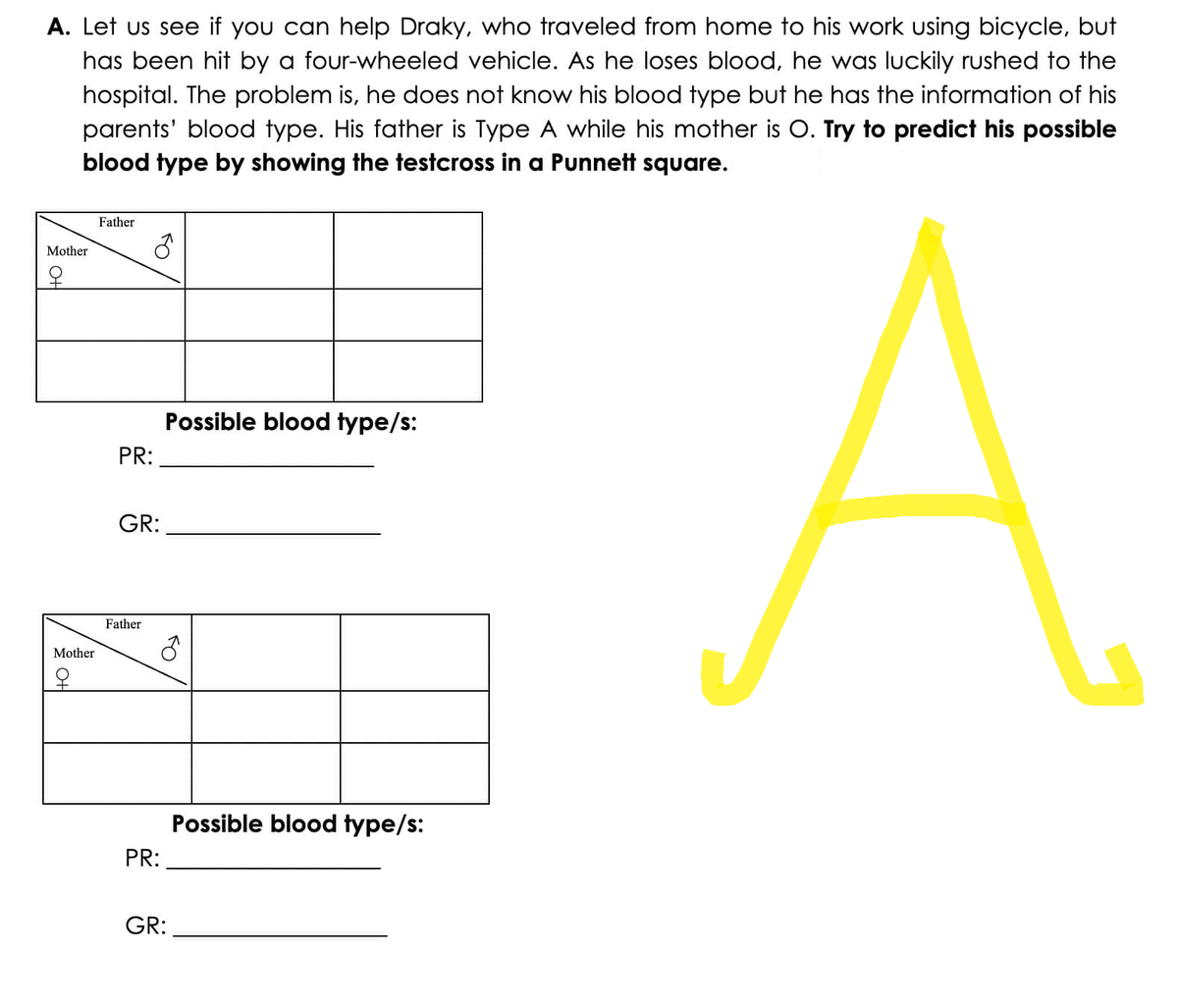 A. Let us see if you can help Draky, who traveled from home to his work using bicycle, but
has been hit by a four-wheeled vehicle. As he loses blood, he was luckily rushed to the
hospital. The problem is, he does not know his blood type but he has the information of his
parents' blood type. His father is Type A while his mother is O. Try to predict his possible
blood type by showing the testcross in a Punnett square.
А.
Mother
Mother
OH
Father
PR:
GR:
Father
PR:
Possible blood type/s:
FO
GR:
Possible blood type/s: