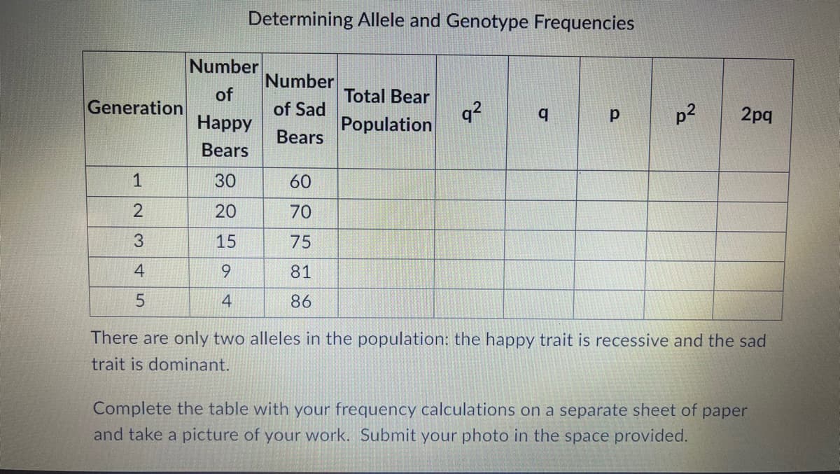 Generation
1
2
3
4
5
Determining Allele and Genotype Frequencies
Number
of
Happy
Bears
30
20
15
9
4
Number
of Sad
Bears
60
70
75
81
86
Total Bear
Population
q² q
P
p²
2pq
There are only two alleles in the population: the happy trait is recessive and the sad
trait is dominant.
Complete the table with your frequency calculations on a separate sheet of paper
and take a picture of your work. Submit your photo in the space provided.