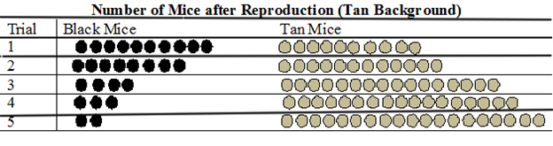 Number of Mice after Reproduction (Tan Background)
Black Mice
Tan Mice
Trial
1
2
3
4
