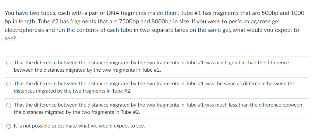 You have two tubes, each with a pair of DNA fragments inside them. Tube #1 has fragments that are 500bp and 1000
bp in length. Tube #2 has fragments that are 7500bp and 8000bp in size. If you were to perform agarose gel
electrophoresis and run the contents of each tube in two separate lanes on the same gel, what would you expect to
see?
O That the difference between the distances migrated by the two fragments in Tube #1 was much greater than the difference
between the distances migrated by the two fragments in Tube #2.
O That the difference between the distances migrated by the two fragments in Tube #1 was the same as difference between the
distances migrated by the two fragments in Tube #2.
O That the difference between the distances migrated by the two fragments in Tube #1 was much less than the difference between
the distances migrated by the two fragments in Tube #2.
O It is not possible to estimate what we would expect to see.
