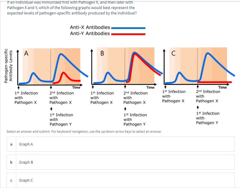 It an individual was immunized tirst with Pathogen X, and then later with
Pathogen X and Y, which of the following graphs would best represent the
expected levels of pathogen-specific antibody produced by the individual?
Anti-X Antibodies
Anti-Y Antibodies
А
B
Time
Time
Time
1st Infection
with
2nd Infection
with
2nd Infection
2nd Infection
with
Pathogen X
1st Infection
1st Infection
with
with
with
Pathogen X
Pathogen X
Pathogen X
Pathogen X
Pathogen X
1st Infection
with
1st Infection
with
1st Infection
with
Pathogen Y
Pathogen Y
Pathogen Y
Select an answer and submit. For keyboard navigation, use the up/down arrow keys to select an answer.
a
Graph A
Graph B
Graph C
Pathogen-specific
Antibody Levels
