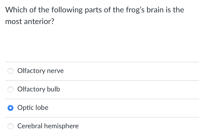 Which of the following parts of the frog's brain is the
most anterior?
O Olfactory nerve
Olfactory bulb
O Optic lobe
O Cerebral hemisphere