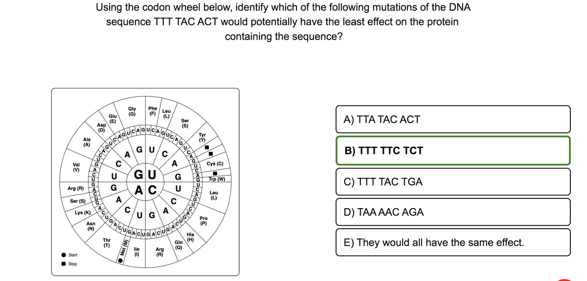 Val
(V)
Ala
(A)
Arg (R)
Ser (S)
Lys (K)
Start
Stop
Using the codon wheel below, identify which of the following mutations of the DNA
sequence TTT TAC ACT would potentially have the least effect on the protein
containing the sequence?
Asp
(D)
G
A
JOOGA
C
Asn
(N)
اندان
A
داد
Glu
(E)
9/2/3.
20402
CAGUCAGUCAGUC
GU
ט|כ
Thr
C
U
G
G
A
Gly
A
A
Phe
(F)
C/U/G
●Met (M)
Leu
(L)
GU
AC
C
CUGA
GACUGA
ACUGACUG
A
Arg
(R)
G
כט
Ser
(S)
C
U
с
Gin
(Q)
A
G
U
C
A
G
બનીનો
His
(H)
Tyr
(Y)
U
G
C
Cys (C)
Pro
(P)
Trp (W)
Leu
(L)
A) TTA TAC ACT
B) TTT TTC TCT
C) TTT TAC TGA
D) TAA AAC AGA
E) They would all have the same effect.
