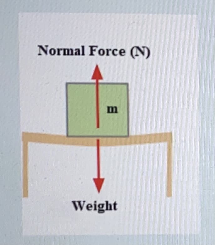 Normal Force (N)
m
Weight
