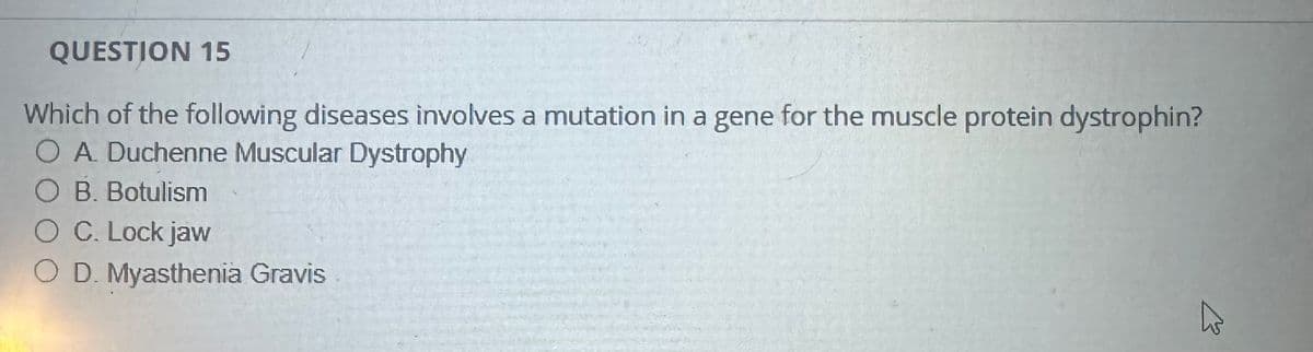 QUESTION 15
Which of the following diseases involves a mutation in a gene for the muscle protein dystrophin?
O A. Duchenne Muscular Dystrophy
OB. Botulism
○ C. Lock jaw
OD. Myasthenia Gravis