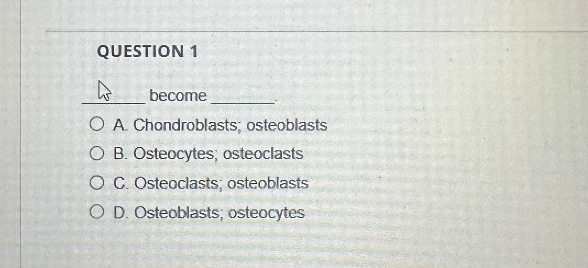 QUESTION 1
h
become
O A. Chondroblasts; osteoblasts
OB. Osteocytes; osteoclasts
O C. Osteoclasts; osteoblasts
O D. Osteoblasts; osteocytes