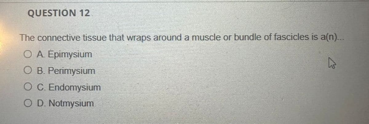 QUESTION 12
The connective tissue that wraps around a muscle or bundle of fascicles is a(n)...
OA Epimysium
O B. Perimysium
O C. Endomysium
OD. Notmysium