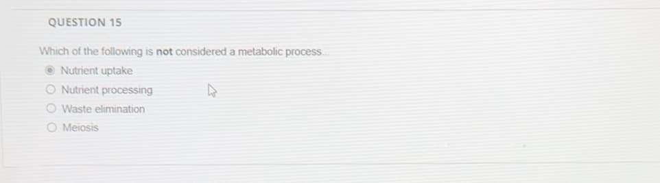 QUESTION 15
Which of the following is not considered a metabolic process...
Nutrient uptake
O Nutrient processing
O Waste elimination
O Meiosis