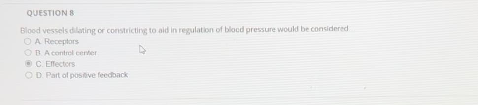 QUESTION 8
Blood vessels dilating or constricting to aid in regulation of blood pressure would be considered.
OA Receptors
OB. A control center
C. Effectors
O D. Part of positive feedback