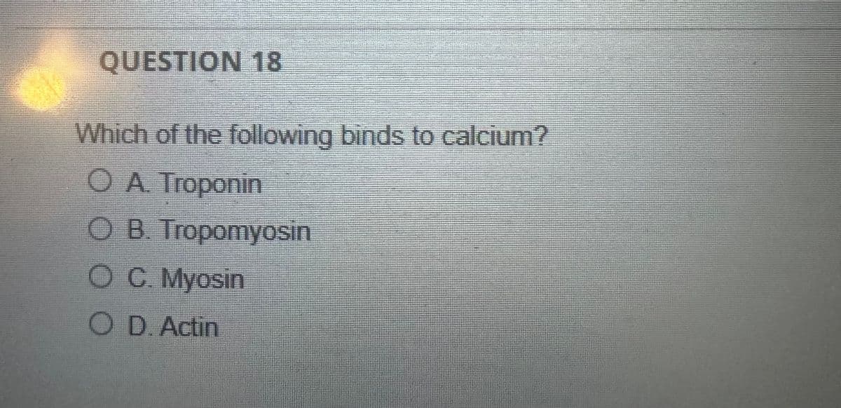 QUESTION 18
Which of the following binds to calcium?
O A. Troponin
OB. Tropomyosin
O C. Myosin
OD. Actin