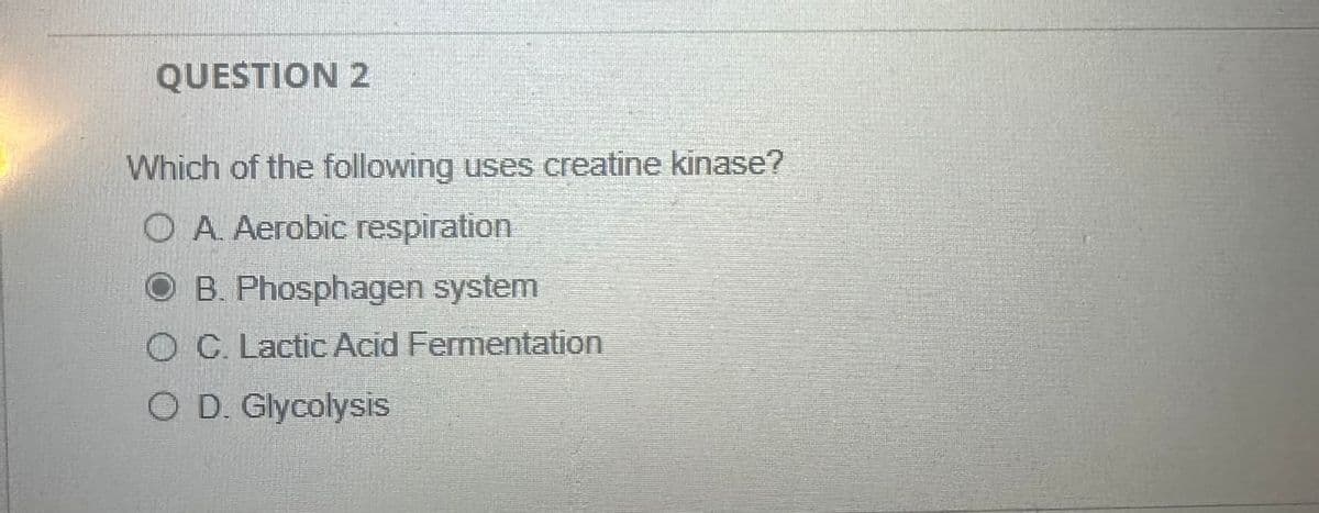 QUESTION 2
Which of the following uses creatine kinase?
OA. Aerobic respiration
OB. Phosphagen system
OC. Lactic Acid Fermentation
OD. Glycolysis