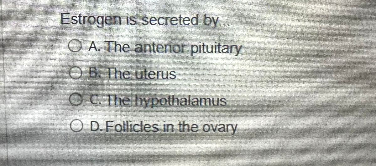 Estrogen is secreted by...
O A. The anterior pituitary
OB. The uterus
OC. The hypothalamus
OD. Follicles in the ovary