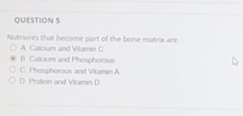 QUESTION 5
Nutrients that become part of the bone matrix are
OA Caloum and Vitamin C
8 Calcum and Phosphorous
OC Phosphorous and Vitamin A
D Protein and Vitamin D
