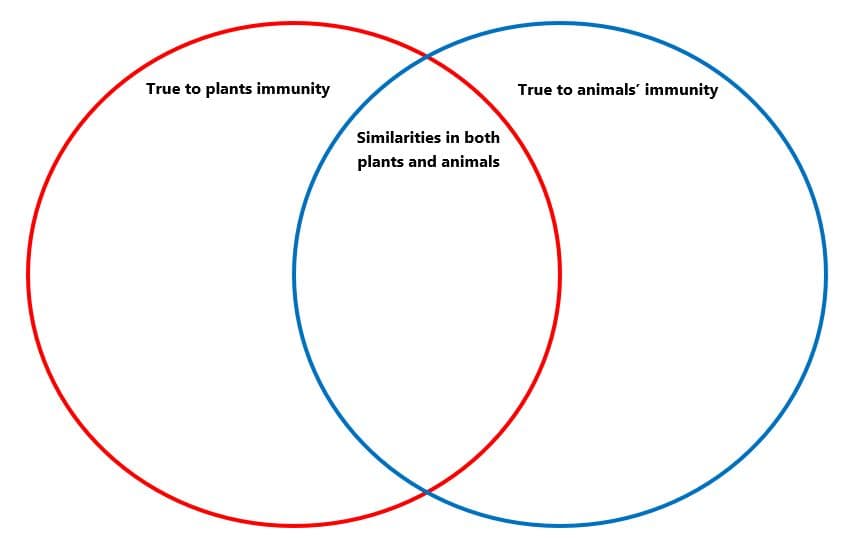 True to plants immunity
True to animals' immunity
Similarities in both
plants and animals
