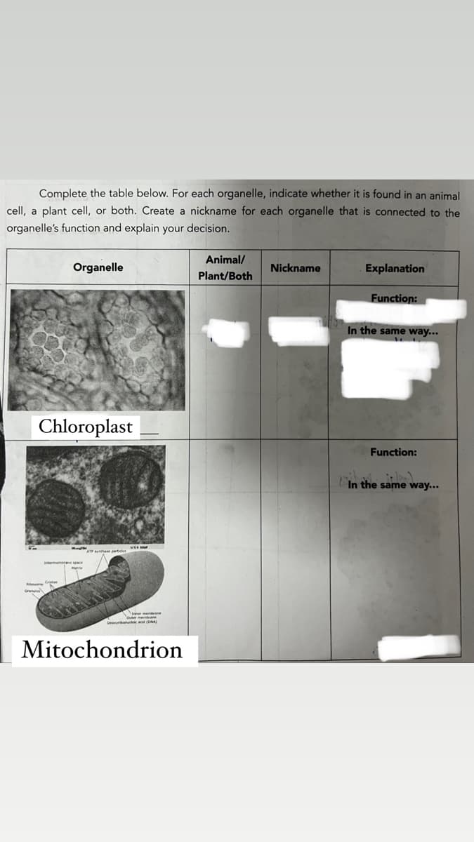 Complete the table below. For each organelle, indicate whether it is found in an animal
cell, a plant cell, or both. Create a nickname for each organelle that is connected to the
organelle's function and explain your decision.
Organelle
Chloroplast
Mitochondrion
Animal/
Plant/Both
Nickname
Explanation
Function:
In the same way...
Function:
In the same way...