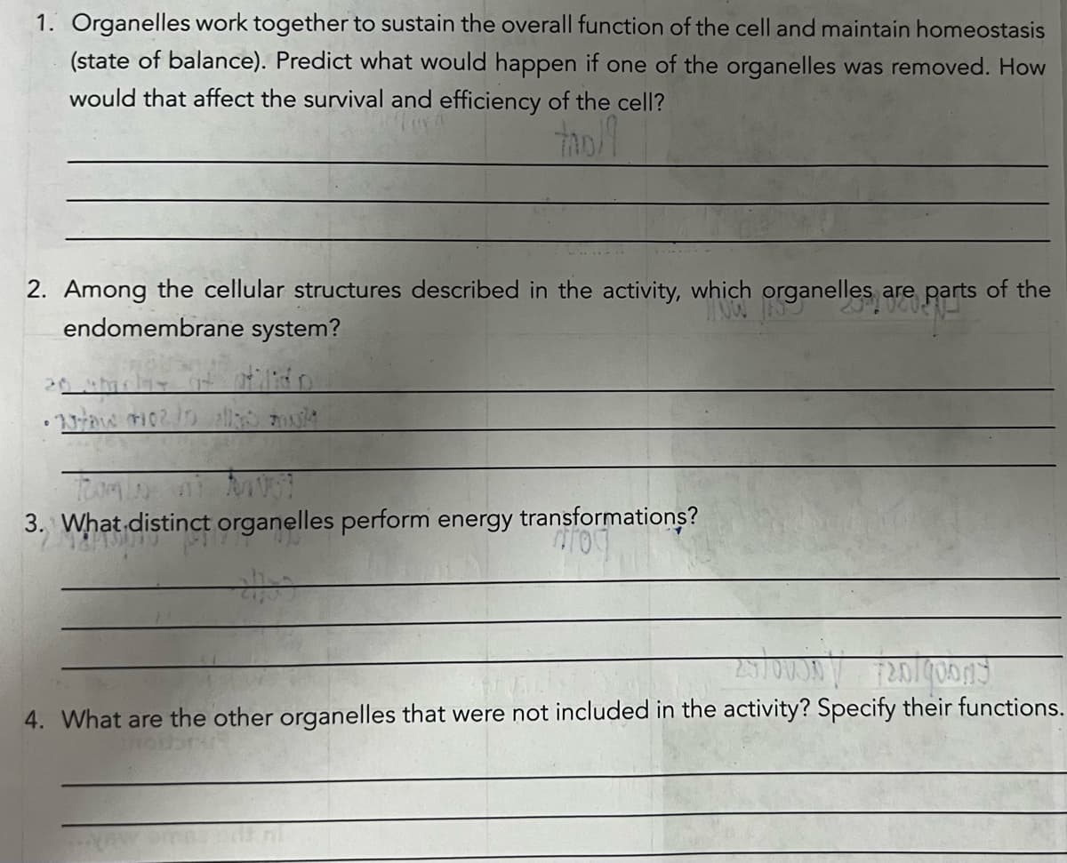 1. Organelles work together to sustain the overall function of the cell and maintain homeostasis
(state of balance). Predict what would happen if one of the organelles was removed. How
would that affect the survival and efficiency of the cell?
troll
2. Among the cellular structures described in the activity, which organelles are parts of the
endomembrane system?
HOW TO
20 Amolay
• Wow Ho2/Dallas mult
Rombo
3. What distinct organelles perform energy transformations?
nod
23/00307 720/9oons
4. What are the other organelles that were not included in the activity? Specify their functions.