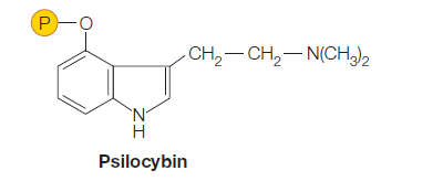 P-o
CH2- CH,- N(CH)2
H
Psilocybin
