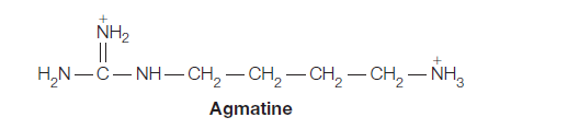NH2
||
H,N-C- NH–CH, – CH, - CH,2–CH,– NH3
Agmatine
