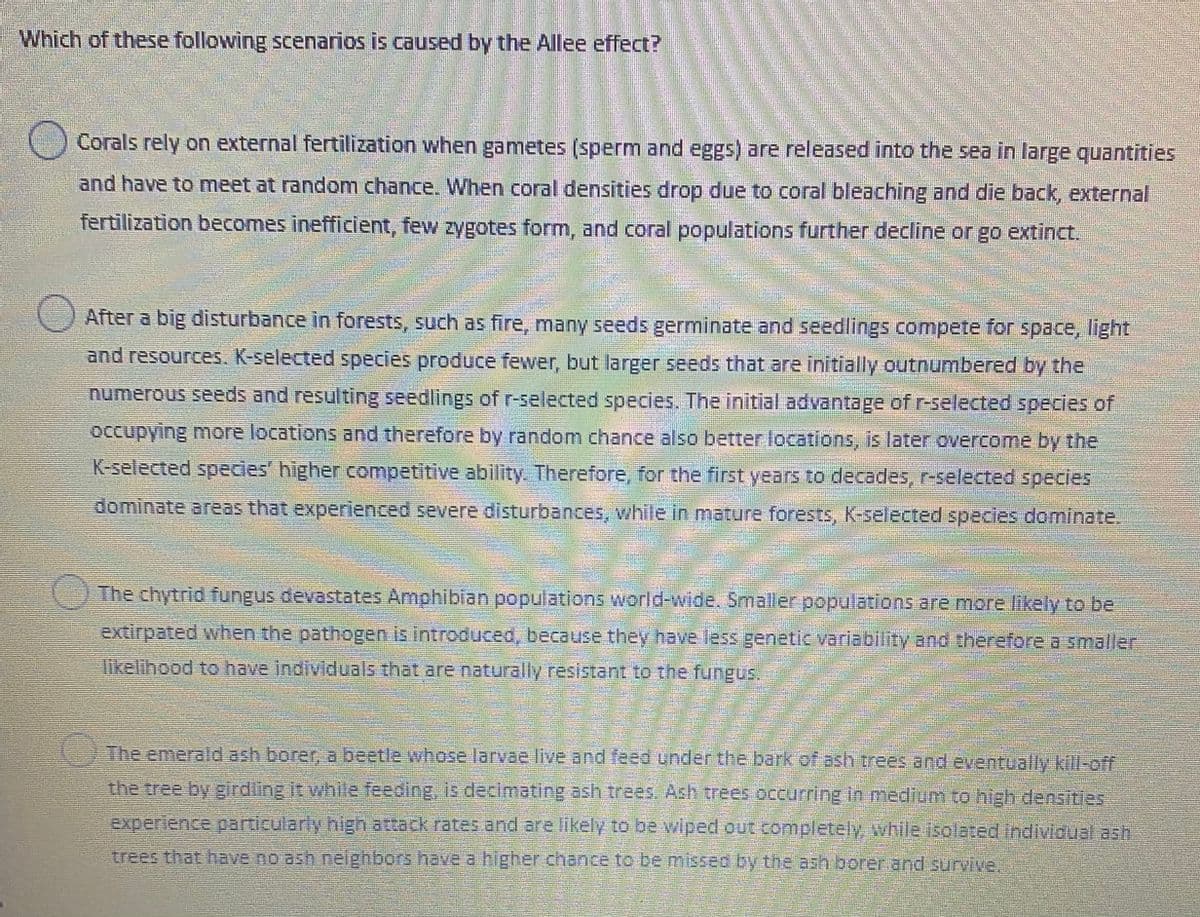 Which of these following scenarios is caused by the Allee effect?
Corals rely on external fertilization when gametes (sperm and eggs) are released into the sea in large quantities
and have to meet at random chance. When coral densities drop due to coral bleaching and die back, external
fertilization becomes inefficient, few zygotes form, and coral populations further decline or go extinct.
After a big disturbance in forests, such as fire, many seeds germinate and seedlings compete for space, light
and resources. K-selected species produce fewer, but larger seeds that are initially outnumbered by the
numerous sEeds and resulting seedlings of r-selected species. The initial advantage of r-selected species of
Occupying more locations and therefore by random chance also better locations, is later overcome by the
K-selected species higher competitive ability. Therefore, for the first years to decades, r-selected species
dominate areas that experienced severe disturbances, while in mature forests, K-selected species dominate.
The chytrid fungus devastates Amphibian populations world-wide. Smaller populations are more likely to be
extirpated when the pathogen is introduced, because they have less genetic variability and therefore a smaller
likelihood to have individuals that are naturally resistant to the fungus.
The emerald ash borer, a beetle whose larvae live and feed under the bark of ash trees and eventually kill-off
the tree by girdiing it while feeoing, is decimating ash trees Ash trees occurring in medium to high densities
experience particularly high attack rates and are likely to be wiped out completely, while isolatedindividual ash
trees that have no ash nelghbors heve a higher chandce to be misseo by the ash borer.and suryive.
