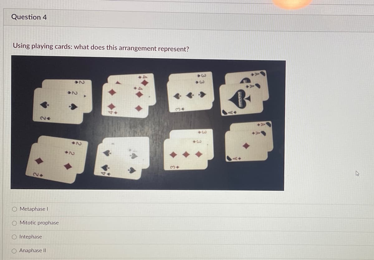 Question 4
Using playing cards: what does this arrangement represent?
24
3
O Metaphasel
O Mitotic prophase
O Intephase
O Anaphase II
