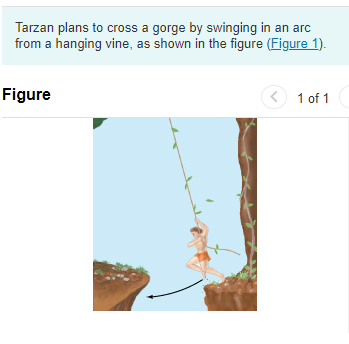 Tarzan plans to cross a gorge by swinging in an arc
from a hanging vine, as shown in the figure (Figure 1).
Figure
1 of 1