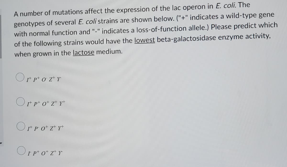 A number of mutations affect the expression of the lac operon in E. coli. The
genotypes of several E. coli strains are shown below. ("+" indicates a wild-type gene
with normal function and "-" indicates a loss-of-function allele.) Please predict which
of the following strains would have the lowest beta-galactosidase enzyme activity,
when grown in the lactose medium.
OF POZY
Ort Ptot Z¹ Yt
Ort p²o+z¹Y+
Orpt ot zty