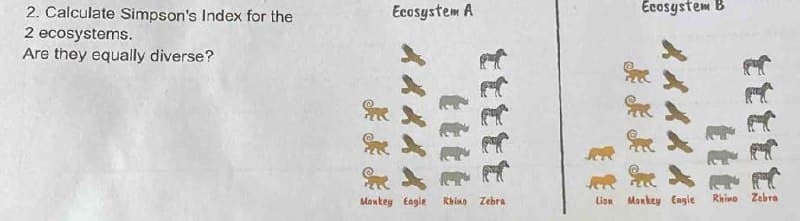 2. Calculate Simpson's Index for the
2 ecosystems.
Are they equally diverse?
Ecosystem A
美美集品品
就在寺
Monkey Eagle Rhino Zebra
Ecosystem B
RRRRR.
A
Lion Monkey Eagle Rhino Zebra
