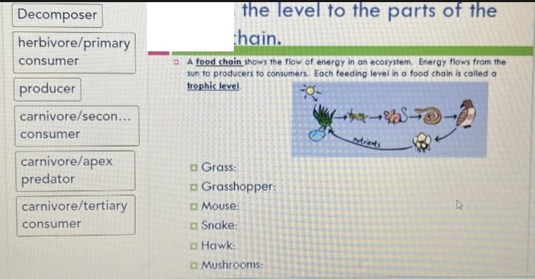 the level to the parts of the
hain.
Decomposer
herbivore/primary
D A food chain shows the flow of energy in an ecosystem. Energy flows from the
sun to producers to consumers. Each feeding level in a food chain is called a
frophic level.
consumer
producer
carnivore/secon...
consumer
ntrients
carnivore/apex
predator
o Grass:
o Grasshopper:
carnivore/tertiary
O Mouse:
O Snake:
consumer
a Hawk:
a Mushrooms:
