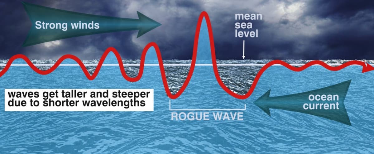 Strong winds
waves get taller and steeper
due to shorter wavelengths
mean
sea
level
ocean
current
ROGUE WAVE