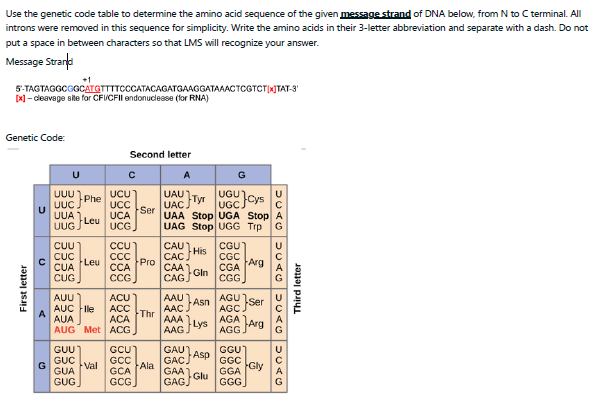 Use the genetic code table to determine the amino acid sequence of the given message strand of DNA below, from N to C terminal. All
introns were removed in this sequence for simplicity. Write the amino acids in their 3-letter abbreviation and separate with a dash. Do not
put a space in between characters so that LMS will recognize your answer.
Message Strand
+1
5-TAGTAGGCGGCATGTTTTCCCATACAGATGAAGGATAAACTCGTCT[x]TAT-3'
[x]-cleavage site for CFI/CFII endonuclease (for RNA)
Genetic Code:
Second letter
с
A
G
UAUTyr UGC Cys
UAC.
UAA Stop UGA Stop
UAG Stop UGG Trp
CAUT
CGU
CAC His
CGC
CAA
CGA
Arg
Gin
CAGJ
CGG
AAU Asn
AGU Ser
AAC.
AGC
AAA
AGA
AAG Lys
AGG Arg
GAU
GGU
Asp
GACJ
GGC
GAA
GGA
Glu
GAGJ
GGG]
First letter
כ
A
G
U
UUU
UUC
UUA
UUGL
CUU
CUC
CUA
CUG
AUU
AUC lle
AUA
AUG Met
GUU
GUC
Val
GUA
GUG
Phe
Leu
Leu
UCU
UCC
UCA
UCG
CCU
CCC
CCA
CCG
ACU
ACC
ACA
ACG
GCU
GCC
GCA
GCG
Ser
Pro
Thr
Ala
Gly
DUAU DUAU DURO DURO
A
G
Third letter