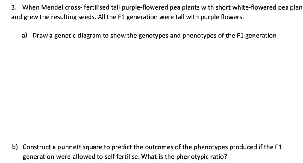 3. When Mendel cross- fertilised tall purple-flowered pea plants with short white-flowered pea plan
and grew the resulting seeds. All the F1 generation were tall with purple flowers.
a) Draw a genetic diagram to show the genotypes and phenotypes of the F1 generation
b) Construct a punnett square to predict the outcomes of the phenotypes produced if the F1
generation were allowed to self fertilise. What is the phenotypic ratio?