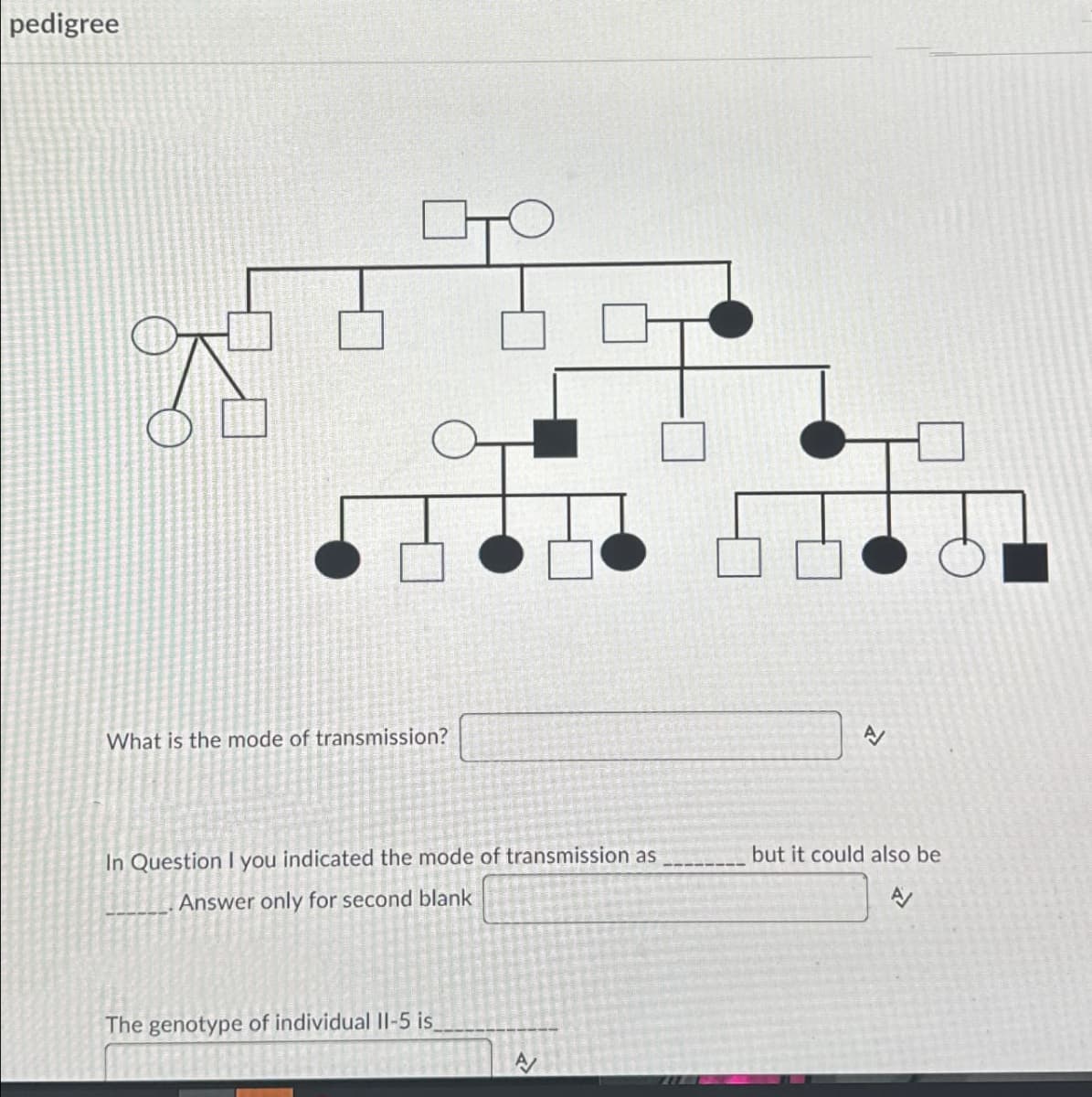 pedigree
What is the mode of transmission?
EV
In Question I you indicated the mode of transmission as
Answer only for second blank
but it could also be
A
The genotype of individual II-5 is
A