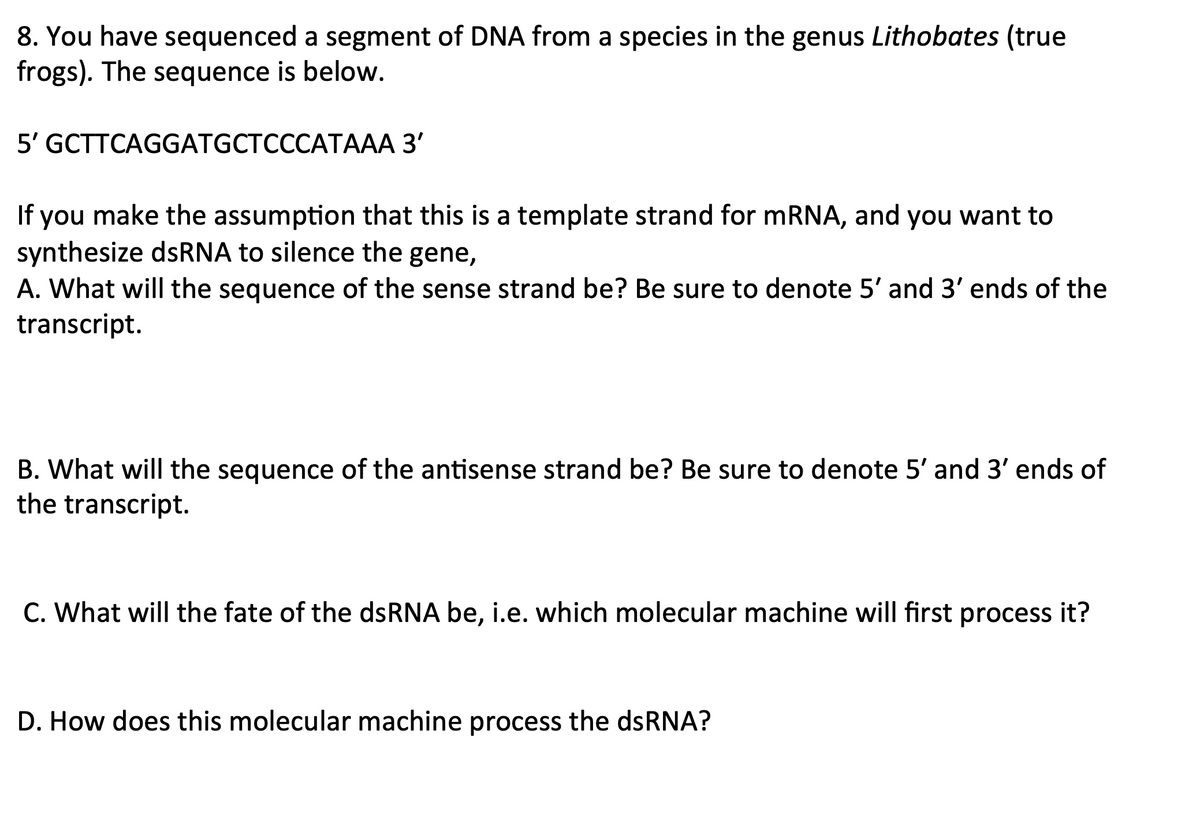 8. You have sequenced a segment of DNA from a species in the genus Lithobates (true
frogs). The sequence is below.
5' GCTTCAGGATGCTCCCATAAA 3'
If you make the assumption that this is a template strand for mRNA, and you want to
synthesize dsRNA to silence the gene,
A. What will the sequence of the sense strand be? Be sure to denote 5' and 3' ends of the
transcript.
B. What will the sequence of the antisense strand be? Be sure to denote 5' and 3' ends of
the transcript.
C. What will the fate of the dsRNA be, i.e. which molecular machine will first process it?
D. How does this molecular machine process the dsRNA?