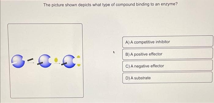 The picture shown depicts what type of compound binding to an enzyme?
A) A competitive inhibitor
B) A positive effector
C)A negative effector
D) A substrate
