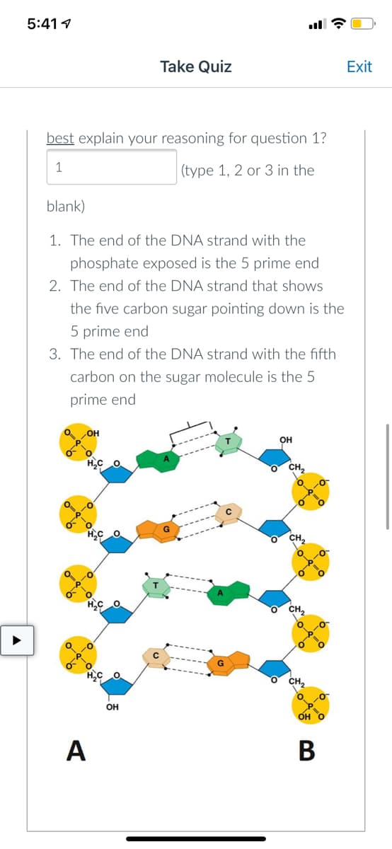 5:41
Take Quiz
best explain your reasoning for question 1?
1
(type 1, 2 or 3 in the
blank)
1. The end of the DNA strand with the
phosphate exposed is the 5 prime end
2. The end of the DNA strand that shows
the five carbon sugar pointing down is the
5 prime end
3. The end of the DNA strand with the fifth
carbon on the sugar molecule is the 5
prime end
OH
OH
H₂
A
OH
G
OH O
B
Exit