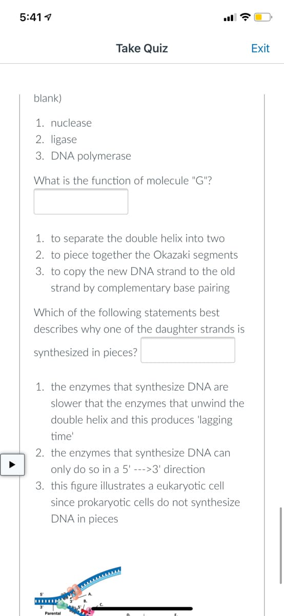 5:41 1
Take Quiz
blank)
1. nuclease
2. ligase
3. DNA polymerase
What is the function of molecule "G"?
1. to separate the double helix into two
2. to piece together the Okazaki segments
3. to copy the new DNA strand to the old
strand by complementary base pairing
Which of the following statements best
describes why one of the daughter strands is
synthesized in pieces?
1. the enzymes that synthesize DNA are
slower that the enzymes that unwind the
double helix and this produces 'lagging
time'
2. the enzymes that synthesize DNA can
only do so in a 5' --->3' direction
3. this figure illustrates a eukaryotic cell
since prokaryotic cells do not synthesize
DNA in pieces
m
Parental
Exit