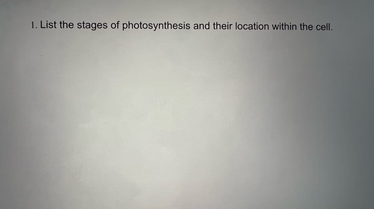 1. List the stages of photosynthesis and their location within the cell.