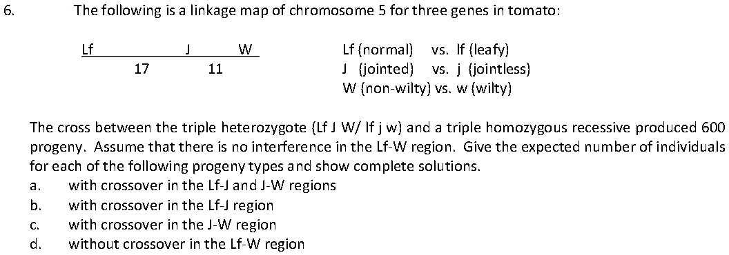 6.
The following is a linkage map of chromosome 5 for three genes in tomato:
vs. If (leafy)
Lf (normal)
J (jointed} vs. į (jointless)
W (non-wilty) vs. w (wilty)
Lf
W
17
11
The cross between the triple heterozygote (Lf J W/ If j w) and a triple homozygous recessive produced 600
progeny. Assume that there is no interference in the Lf-W region. Give the expected number of individuals
for each of the following progeny types and show complete solutions.
with crossover in the Lf-J and J-W regions
with crossover in the Lf-J region
with crossover in the J-W region
without crossover in the Lf-W region
a.
b.
C.
d.
