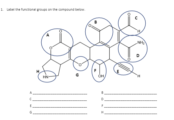 1. Label the functional groups on the compound below.
в
H,
NH2
H
HN-
OH
H.
A
D
E
F
G
B.
