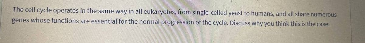 The cell cycle operates in the same way in all eukaryotes, from single-celled yeast to humans, and all share numerous
genes whose functions are essential for the normal progression of the cycle. Discuss why you think this is the case.