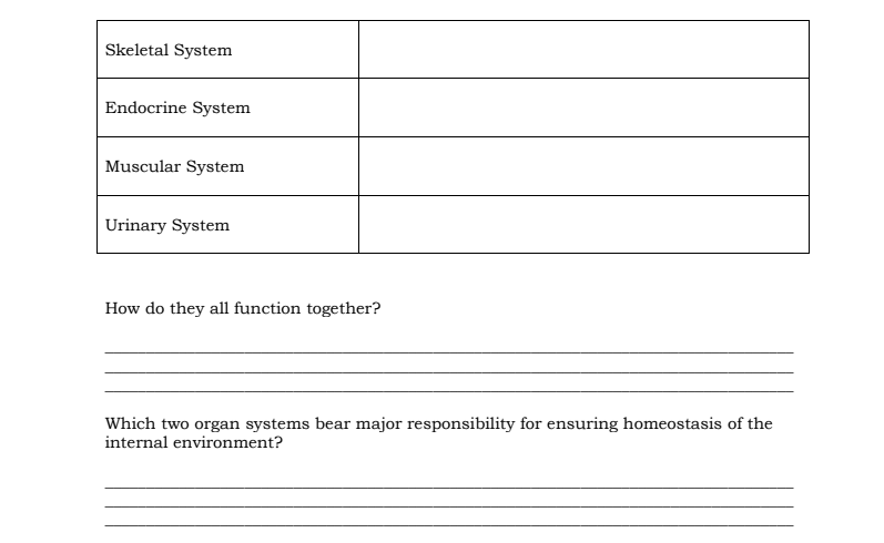 Skeletal System
Endocrine System
Muscular System
Urinary System
How do they all function together?
Which two organ systems bear major responsibility for ensuring homeostasis of the
internal environment?
