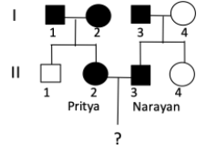 3
4
II
3 4
Narayan
1
2
Pritya
?
