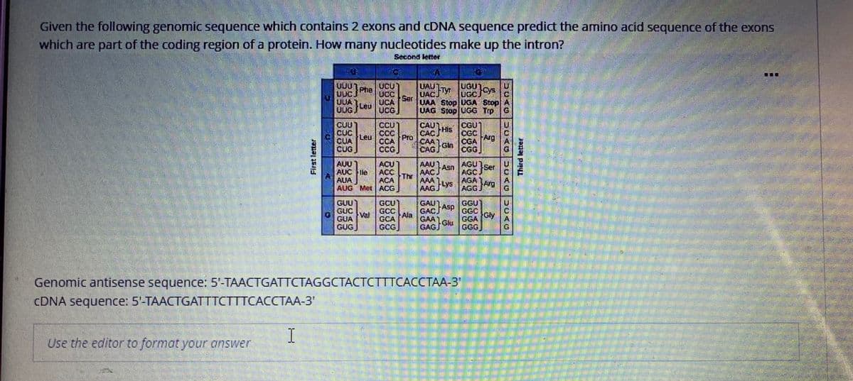 Given the following genomic sequence which contains 2 exons and CDNA sequence predidt the amino acid sequence of the exons
which are part of the coding region of a protein. How many nucleotides make up the intron?
Second letter
UAU TV
UACJ
UAA Stop|UGA Stop A
UAG Stop UG Trp
UUU1
Phe
UUCJ
UGU1,
UGCJ
UCU)
Cys
UCC
Ser
UCA
ULA
UCG
CUUT
CUC
CUA
CUG
CCU
CAUT
C4C His
CAAT
CAGJ
OGU
CCC
Leu
CA
CGC
FArg
CGA
Gln
CGG
Pro
CCG
AUU
AUC lle
AUA
ACU
AGU
AAU
AACJ
AAA 1
AAGYS
Asn
Ser
ACC
Thr
ACA
AGC.
AGA Arg
AUG Mer ACG,
AGG
GCU
GAUT
GACJ
GGU
GGC
GUU
Asp
GUC
Val
GUA
Gly
Ala
GAA
Glu
GAGJ
GGA
GGG
GUG
GCG
G.
Genomic antisense sequence: 5'-TAACTGATTCTAGGCTACTCTTTCACCTAA-3"
CDNA sequence: 5'-TAACTGATTTCTTTCACCTAA-3"
I
Use the editor to format your answer
First letter
皇
Third letter
