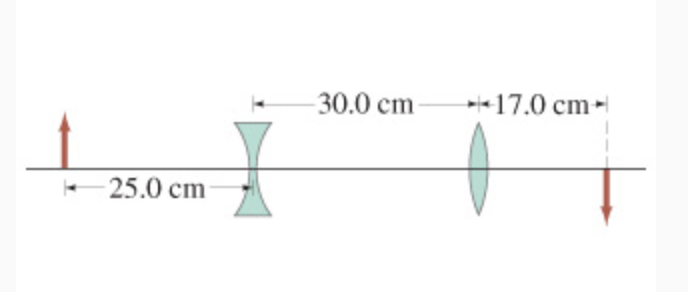 25.0 cm
-30.0 cm-
17.0 cm-