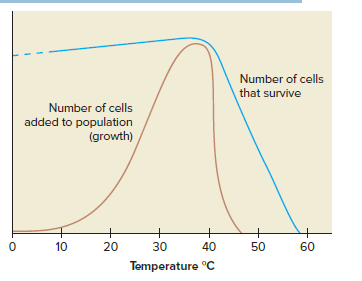 Number of cells
that survive
Number of cells
added to population
(growth)
+
20
10
30
40
50
60
Temperature C
